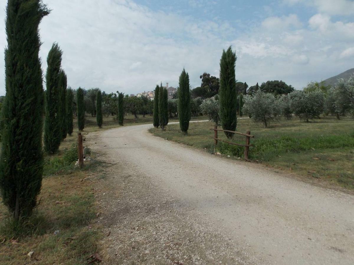 Agriturismo Cento Ducati Palombara Sabina エクステリア 写真