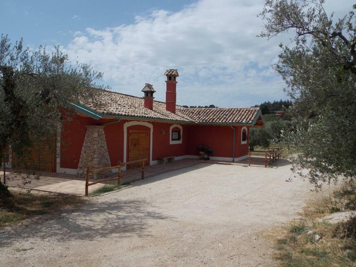 Agriturismo Cento Ducati Palombara Sabina エクステリア 写真